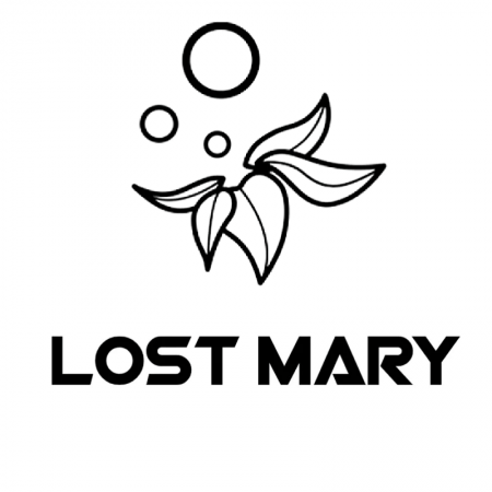 Lost Mary Lost Mary