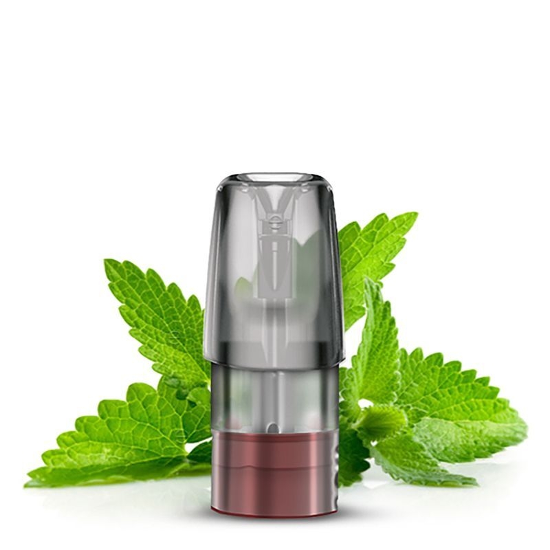 Spearmint 20mg - Mate 500 P1, Kräuter, Pflanze, Minze