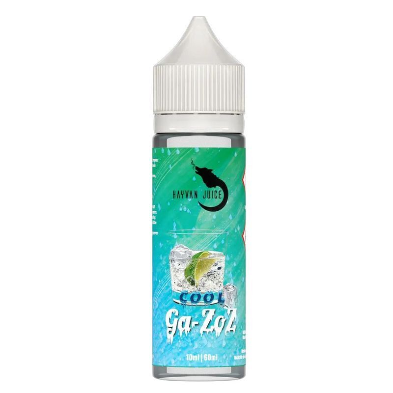 Aroma Cool Gazoz von Hayvan Juice Hayvan Juice Aroma Flasche mit grünem Etikett, Aufschrift Cool Gazoz, Eiswürfel und Limettenabbildung, 60 ml Inhalt.
