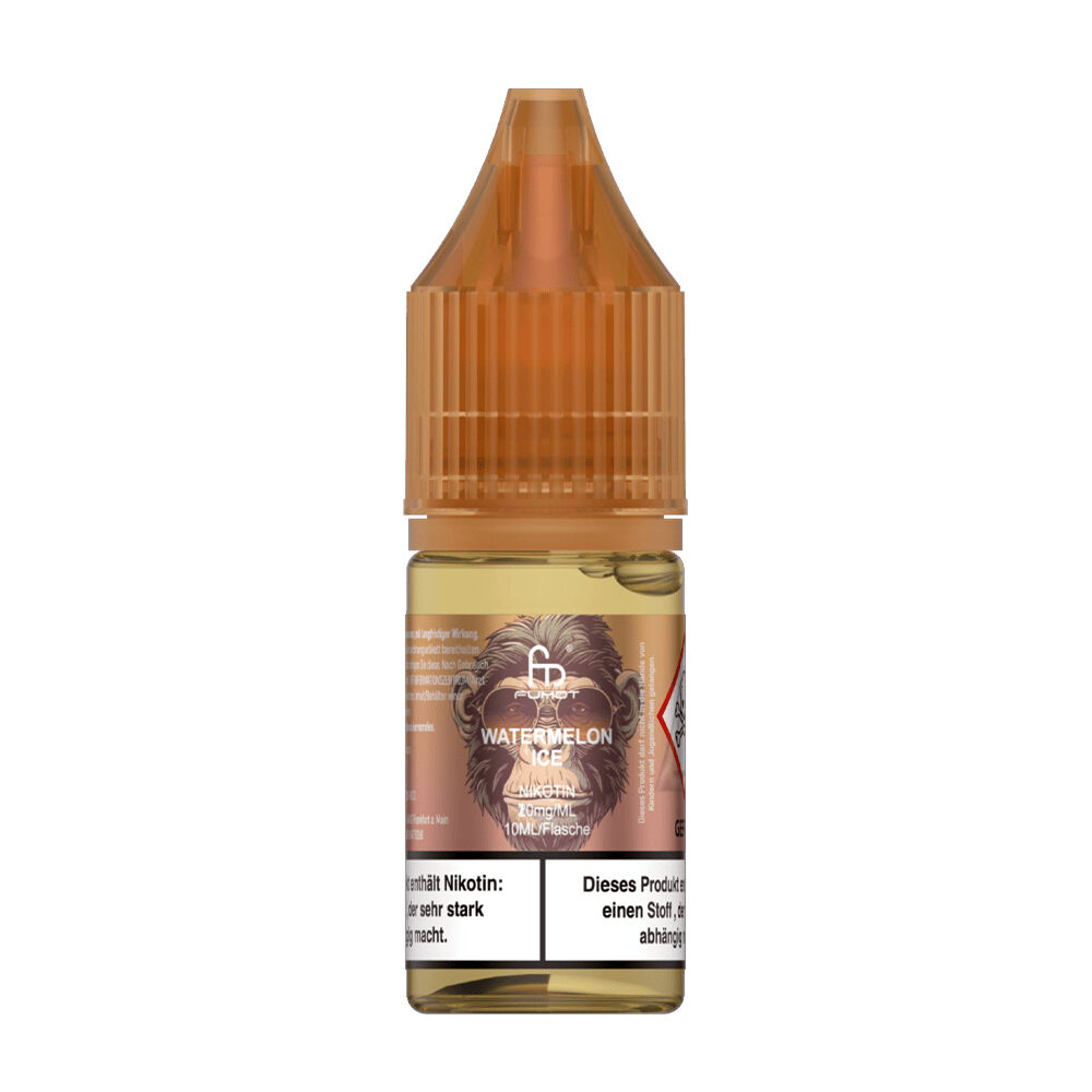 RNM110 E-Liquidflasche RandM Tornado, Sorte Watermelon Ice, 10 mg Nikotinsalz, 10 ml Inhalt, design mit grafischem Element auf der Flasche.