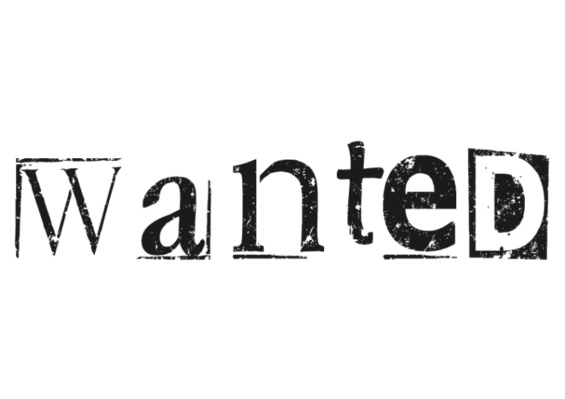 Wanted Wanted