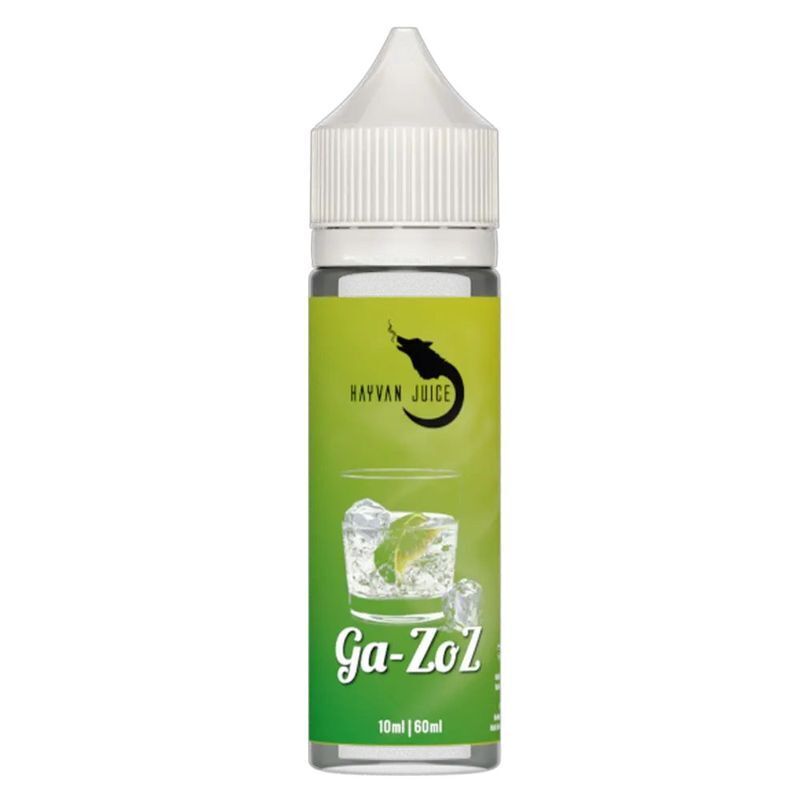Aroma Gazoz von Hayvan Juice Hayvan Juice Aroma Flasche mit grünem Etikett und der Aufschrift Ga-ZoZ, zeigt ein Getränk mit Eiswürfeln und einer Limettenscheibe